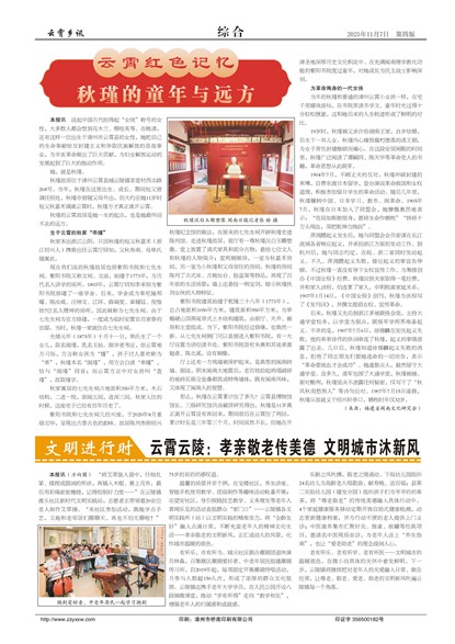 ������Ѷ�ۺ�