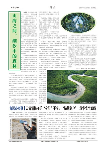 ������Ѷ�ۺ�