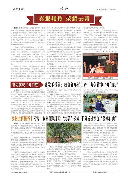 ������Ѷ�ۺ�