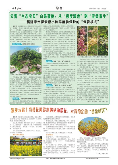 ������Ѷ�ۺ�