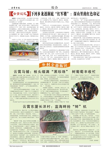 云霄乡讯综合